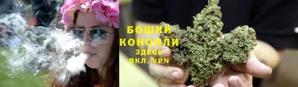 PSILOCYBIN Заволжье