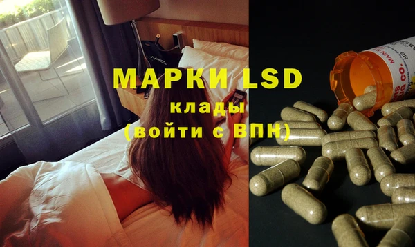 PSILOCYBIN Заволжье
