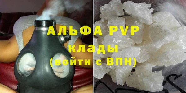 PSILOCYBIN Заволжье