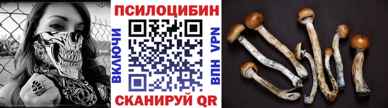 Псилоцибиновые грибы мухоморы  Купить закладки  Воткинск 